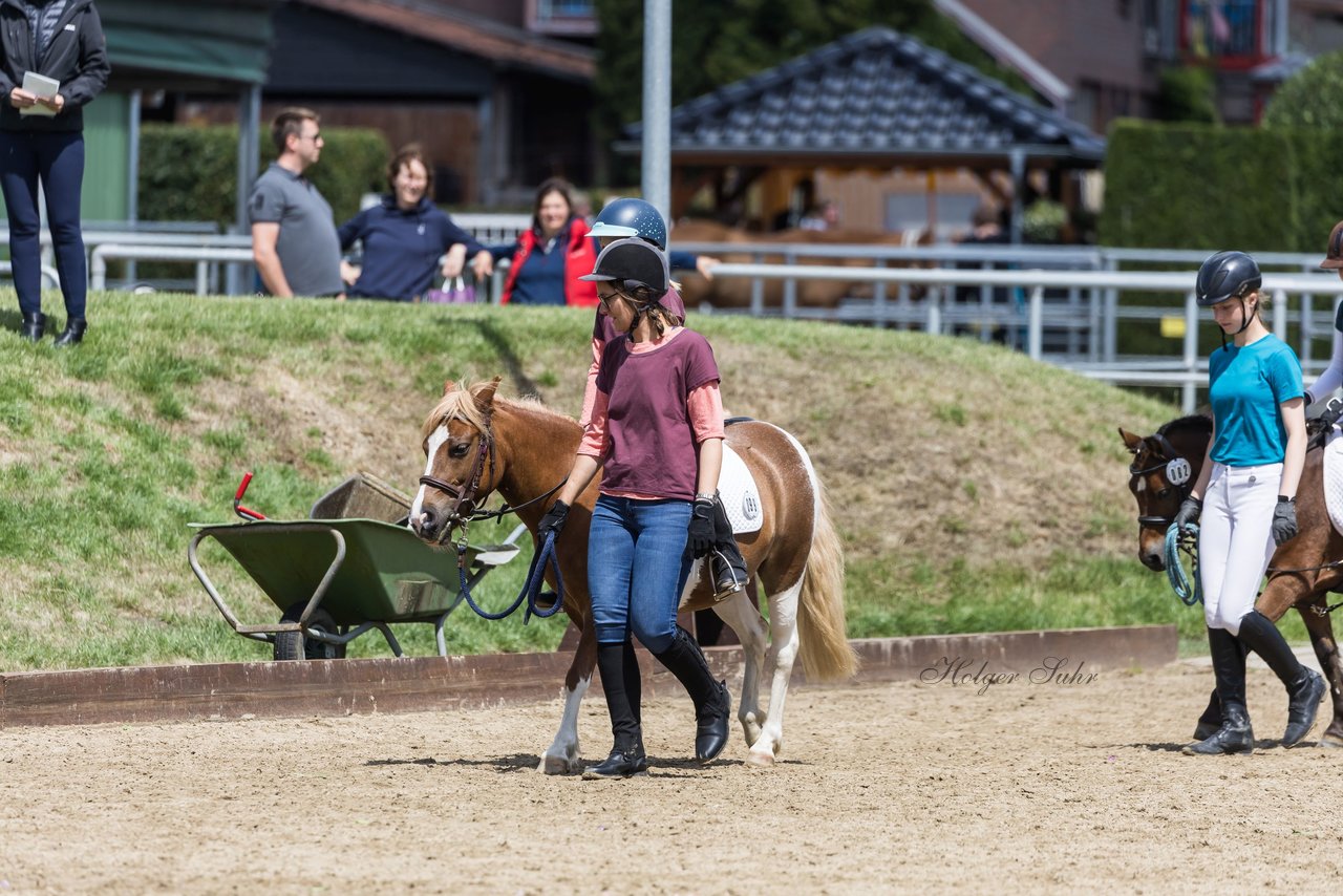 Bild 8 - Pony Akademie Turnier